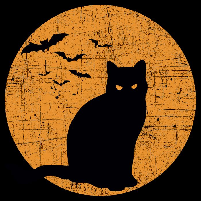 Black Cat Halloween Moon V-Neck T-Shirt