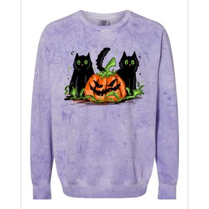 Black Cat Halloween Cute Pumpkin Colorblast Crewneck Sweatshirt