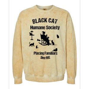 Black Cat Humane Society Funny Witch Halloween Colorblast Crewneck Sweatshirt