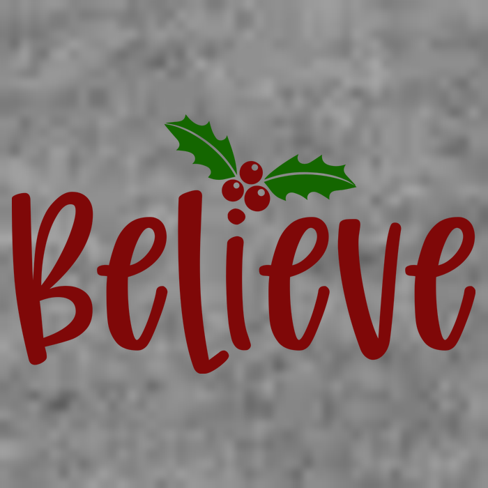 Believe Christmas Holiday Kids Hoodie