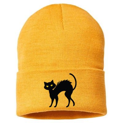 Black Cat Halloween Black Cats Sustainable Knit Beanie