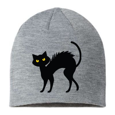 Black Cat Halloween Black Cats Sustainable Beanie