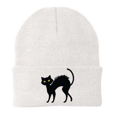 Black Cat Halloween Black Cats Knit Cap Winter Beanie