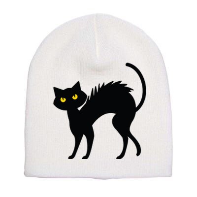 Black Cat Halloween Black Cats Short Acrylic Beanie