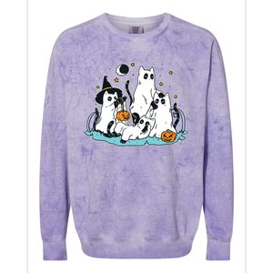 Black Cats In Ghost Costume Cute Women And Halloween Colorblast Crewneck Sweatshirt