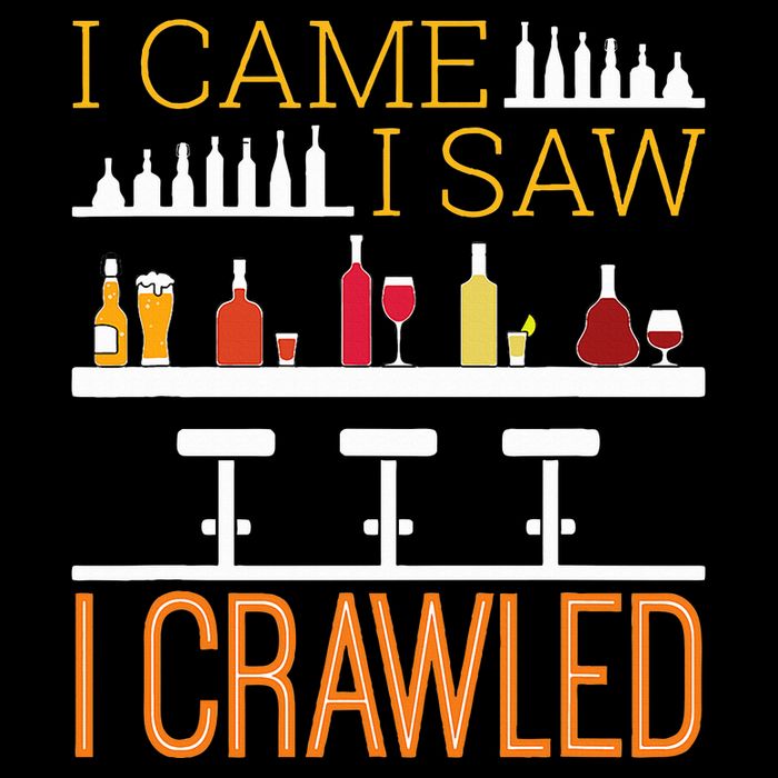 Bar Crawl I Came I Saw I Crawled Pub Crawl Alcohol Drinking Pom Pom 12in Knit Beanie