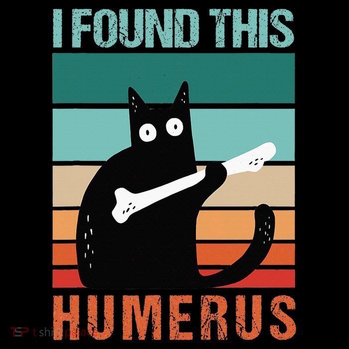 Black Cat I Found This Humerus Cat Joke T-Shirt