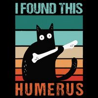 Black Cat I Found This Humerus Cat Joke Flat Bill Trucker Hat