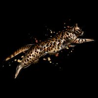 Bengal Cat Jumping From A Splash Backpack