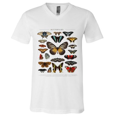 Butterfly Collection Just A Girl Who Loves Butterflies V-Neck T-Shirt
