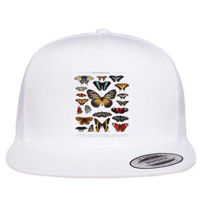 Butterfly Collection Just A Girl Who Loves Butterflies Flatbill Hat
