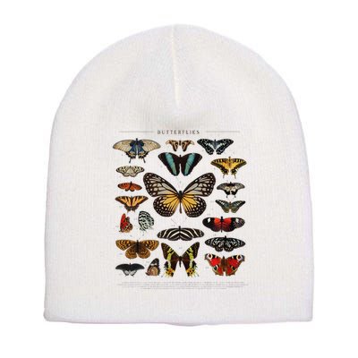 Butterfly Collection Just A Girl Who Loves Butterflies Short Acrylic Beanie