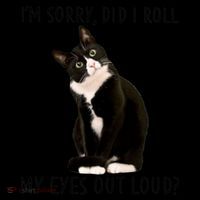 Black Cat Kitten I'm Sorry Did I Roll My Eyes Out Loud Funny Gift Sustainable Bucket Hat