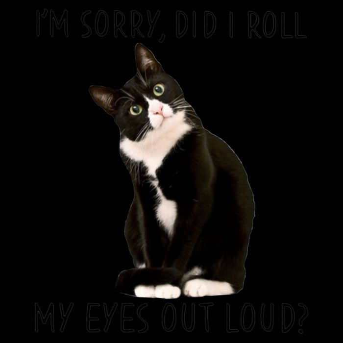 Black Cat Kitten I'm Sorry Did I Roll My Eyes Out Loud Funny Gift Cropped Pullover Crew