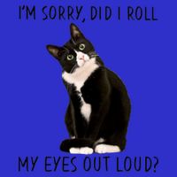 Black Cat Kitten I'm Sorry Did I Roll My Eyes Out Loud Funny Gift Sweatshirt