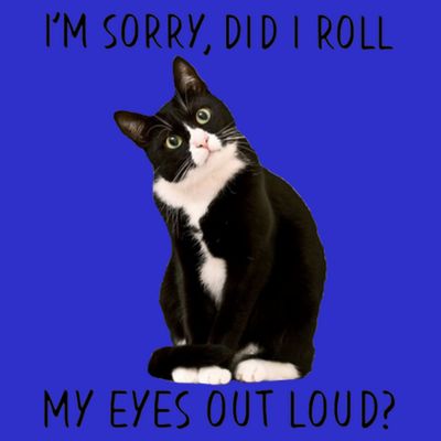Black Cat Kitten I'm Sorry Did I Roll My Eyes Out Loud Funny Gift T-Shirt