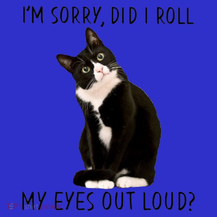 Black Cat Kitten I'm Sorry Did I Roll My Eyes Out Loud Funny Gift Sustainable Beanie