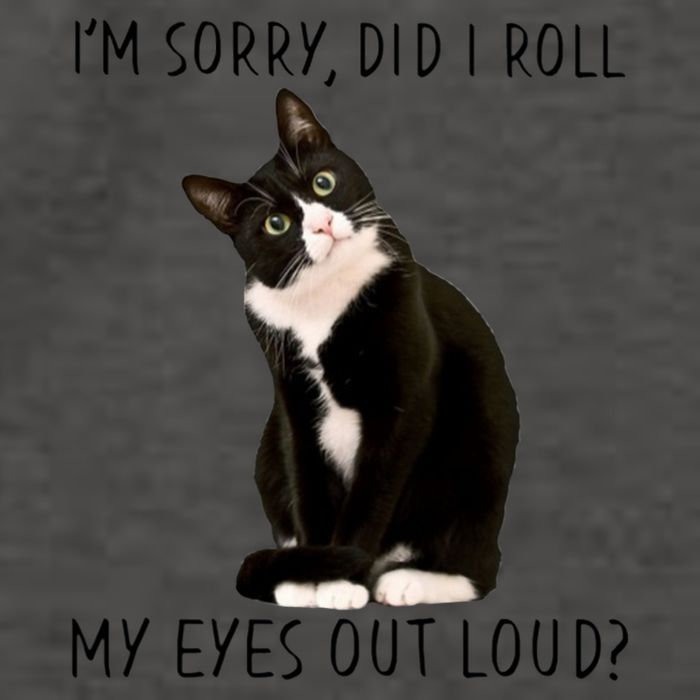 Black Cat Kitten I'm Sorry Did I Roll My Eyes Out Loud Funny Gift Vector Backpack