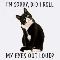 Black Cat Kitten I'm Sorry Did I Roll My Eyes Out Loud Funny Gift Garment-Dyed Sweatshirt