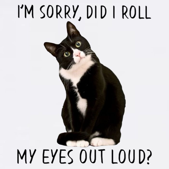 Black Cat Kitten I'm Sorry Did I Roll My Eyes Out Loud Funny Gift Garment-Dyed Sweatshirt