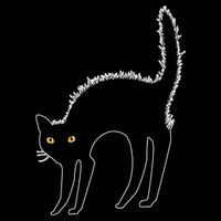 Black Cat Lover Gift City Backpack