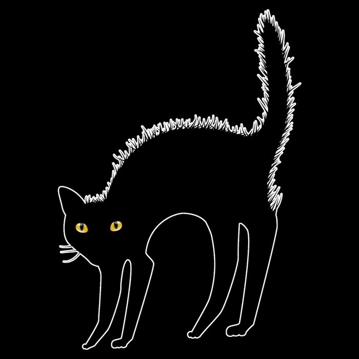 Black Cat Lover Gift City Backpack