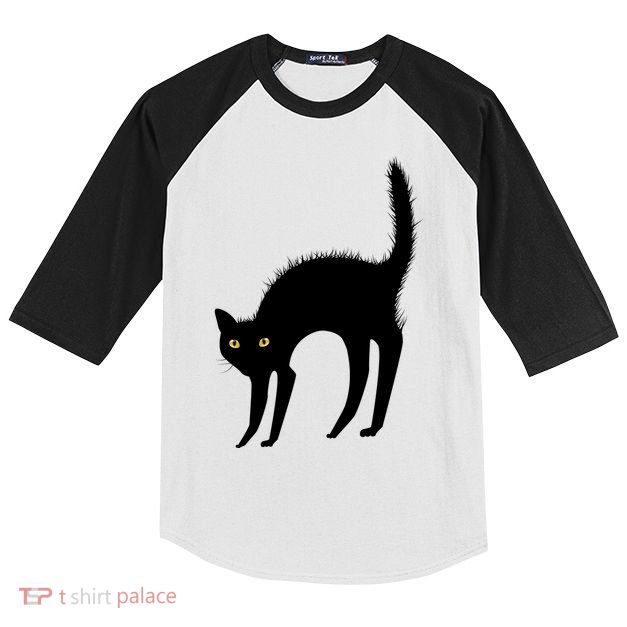 Black Cat Lover Gift Kids Colorblock Raglan Jersey