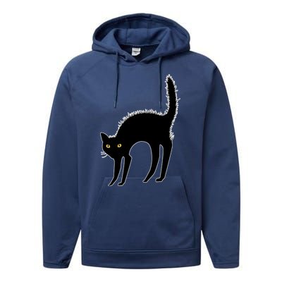 Black Cat Lover Gift Performance Fleece Hoodie