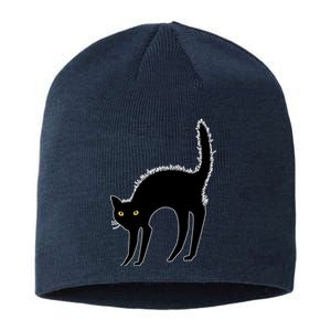 Black Cat Lover Gift Sustainable Beanie