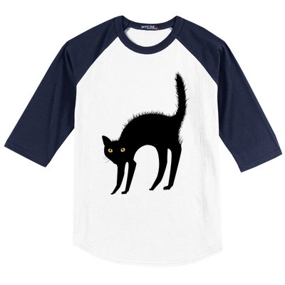 Black Cat Lover Gift Baseball Sleeve Shirt