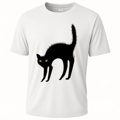 Black Cat Lover Gift Performance Shirt