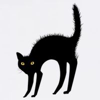 Black Cat Lover Gift Apron