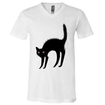 Black Cat Lover Gift V-Neck T-Shirt