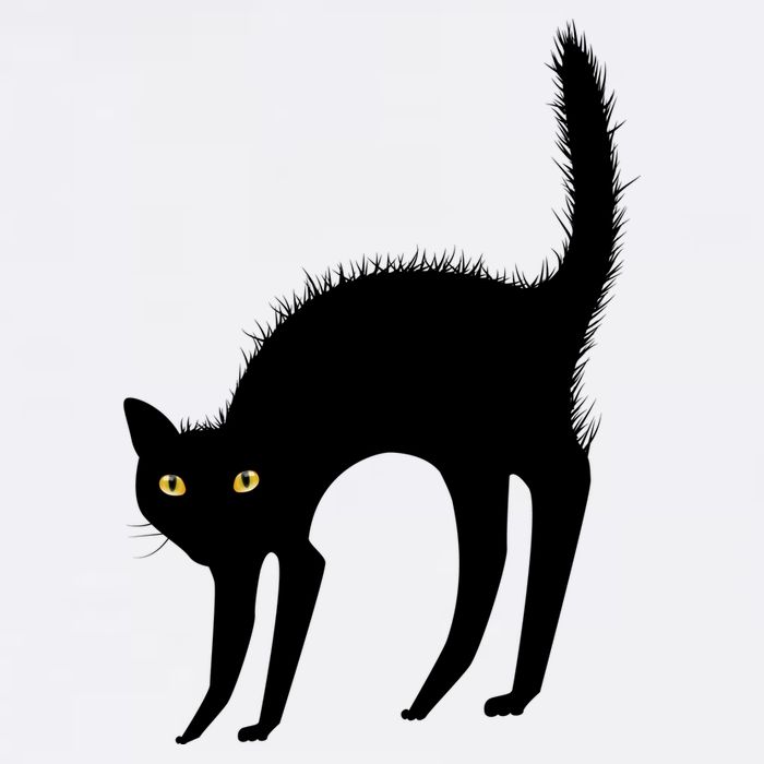 Black Cat Lover Gift Mug