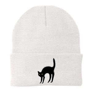 Black Cat Lover Gift Knit Cap Winter Beanie