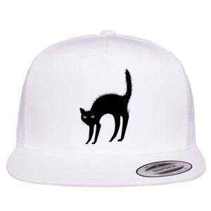 Black Cat Lover Gift Flat Bill Trucker Hat