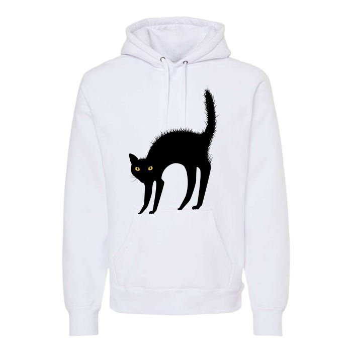 Black Cat Lover Gift Premium Hoodie