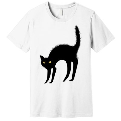 Black Cat Lover Gift Premium T-Shirt