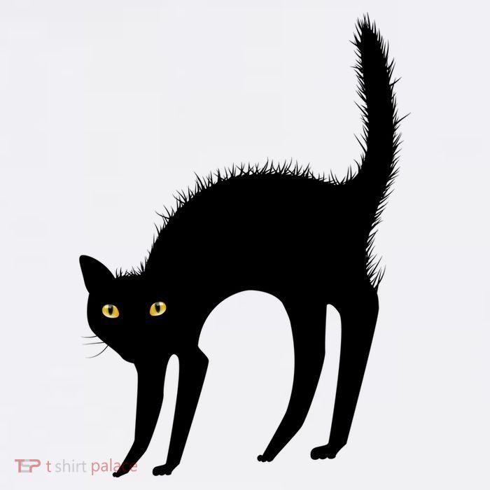 Black Cat Lover Gift Premium T-Shirt