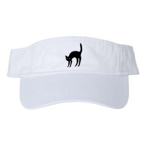 Black Cat Lover Gift Valucap Bio-Washed Visor