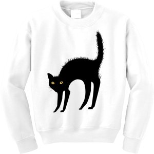 Black Cat Lover Gift Kids Sweatshirt