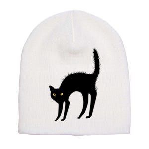 Black Cat Lover Gift Short Acrylic Beanie