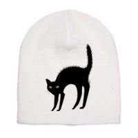 Black Cat Lover Gift Short Acrylic Beanie