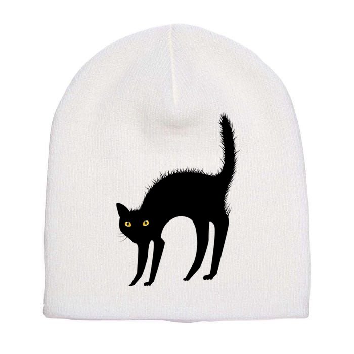 Black Cat Lover Gift Short Acrylic Beanie