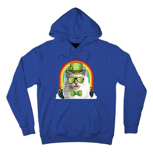 Bir Cat Leprechaun Funny St Patricks Day Gift Hoodie