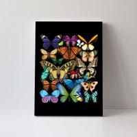 Butterfly Collection Monarch Butterfly Lover Butterflies Canvas