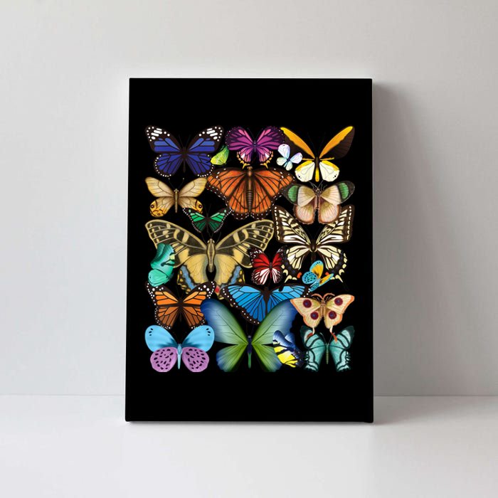 Butterfly Collection Monarch Butterfly Lover Butterflies Canvas