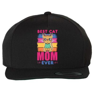 Best Cat Mom Evers Gift Wool Snapback Cap