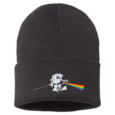 Beethoven Classical Music Composer Sustainable Knit Beanie