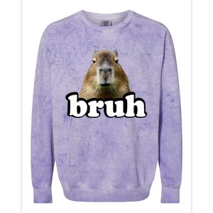 Bruh Capybara Meme Funny Bruh Saying Colorblast Crewneck Sweatshirt